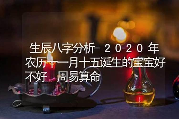 三月十五日是什么日子