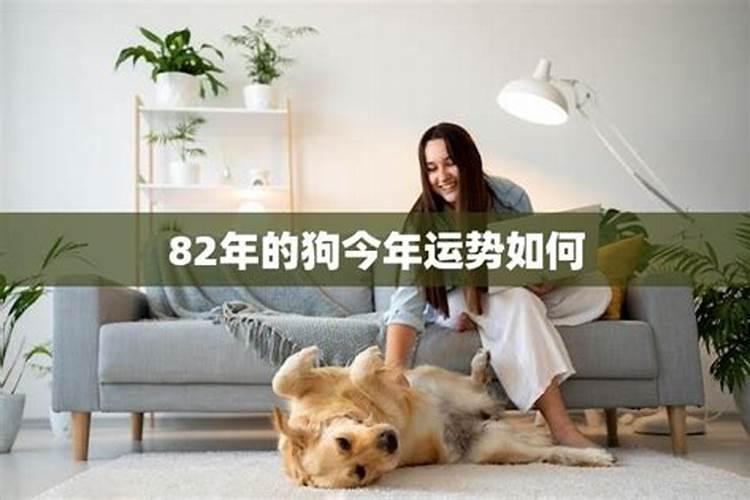 82年属狗哪年转大运？