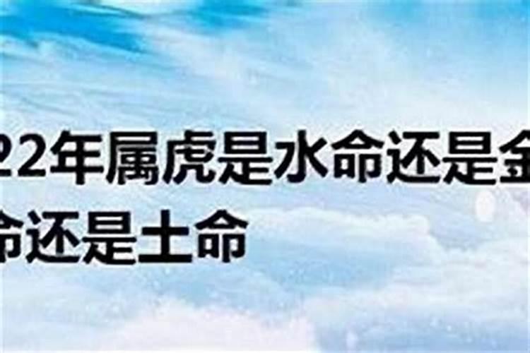 1974年属虎人2024年运势及运程