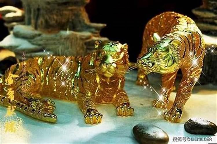 1974年的虎一生的运势,属羊1979年44岁走大运