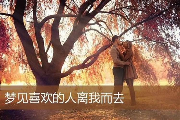 梦见心里爱的人离开自己的预兆