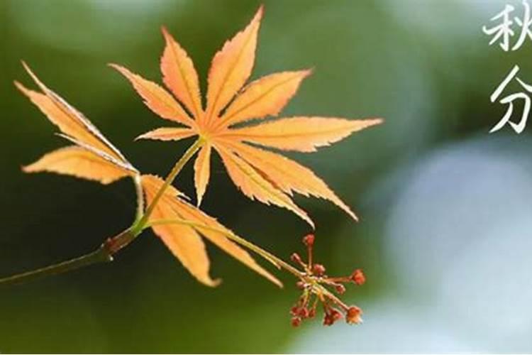 阴历十月初一适宜理发吗