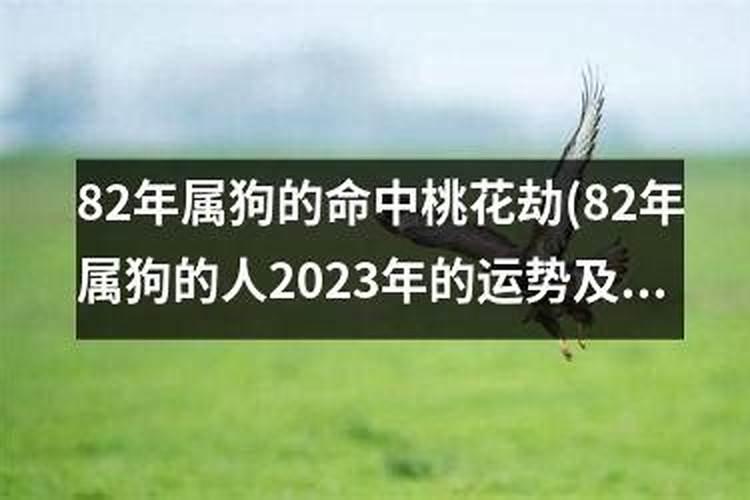 鼠本命年的大忌是什么 属鼠人犯太岁如何化解