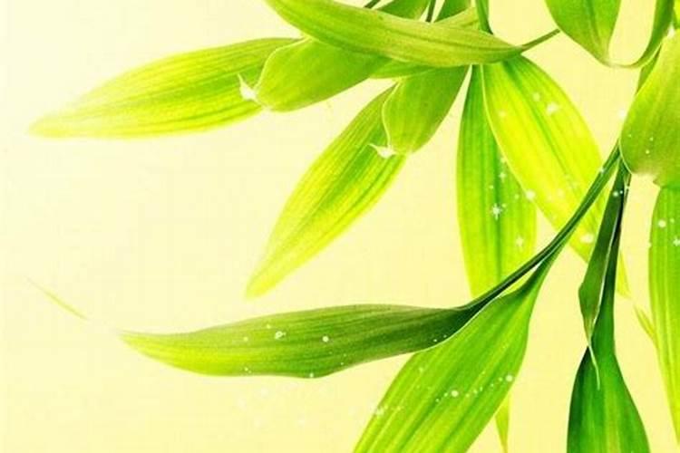 孩子的学习成绩与风水有关吗