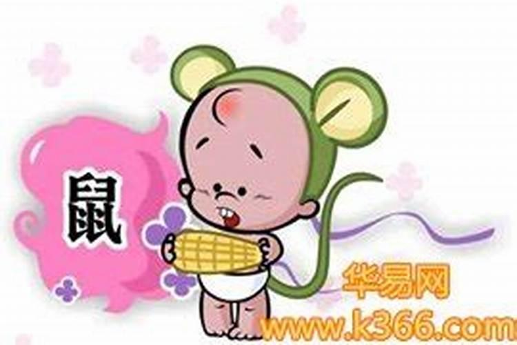 鼠年犯太岁的属相 属鼠犯太岁化解方法