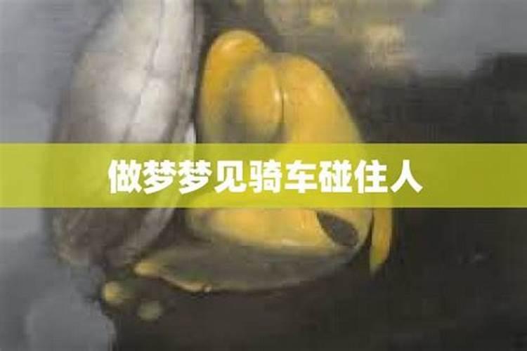 立冬是二十四节气中第几节气