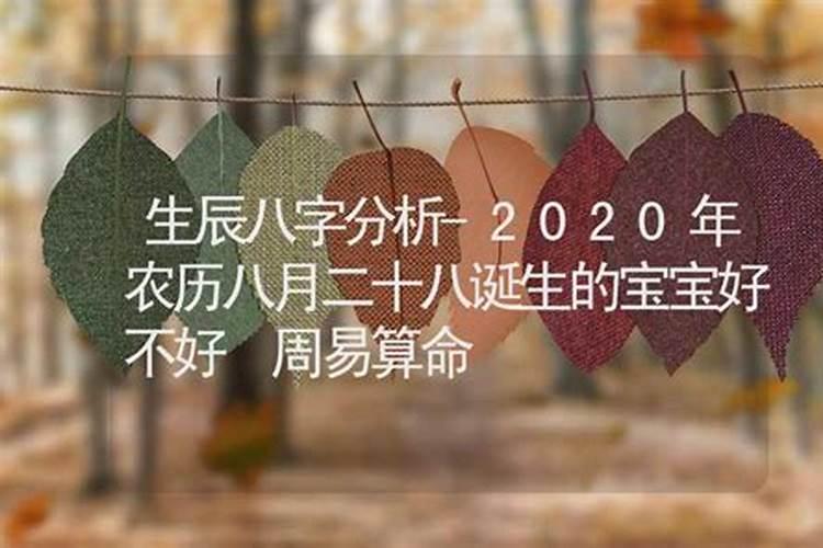 农历八月十五出生的女人命运