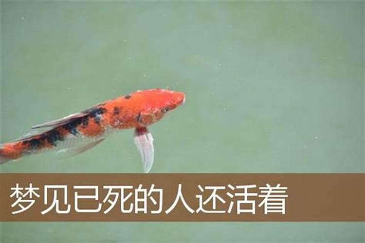 四个食神女命为什么罕见