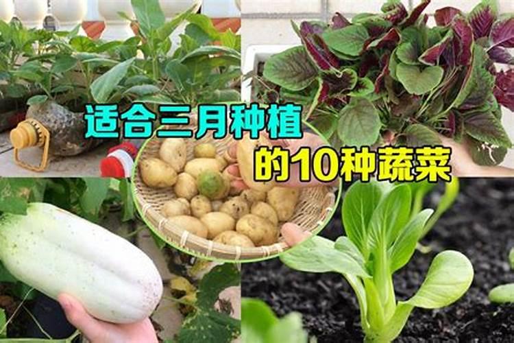 梦见老婆生二胎生了个女孩