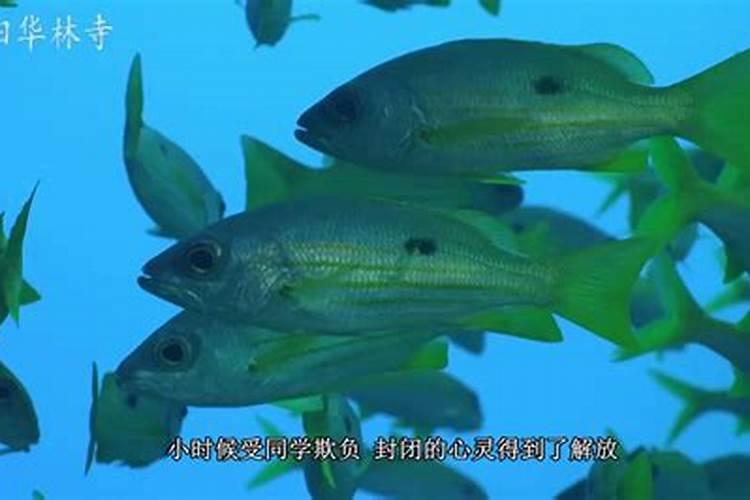 婚姻不好的女人前世,前世是什么人今世犯驳婚煞这个很可怕吗