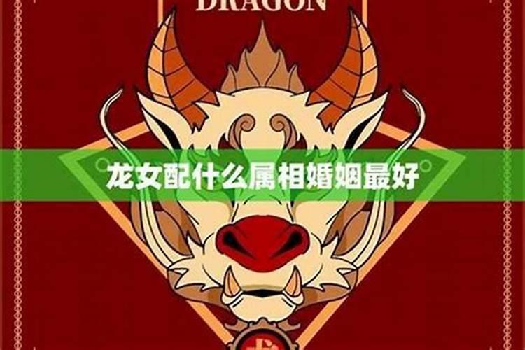 马和龙属相合吗
