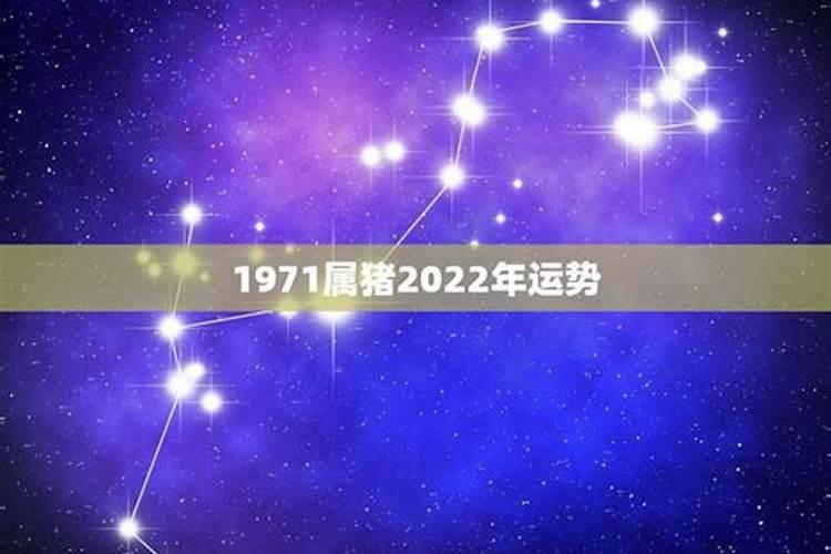 1971年2025年属猪人的全年运势
