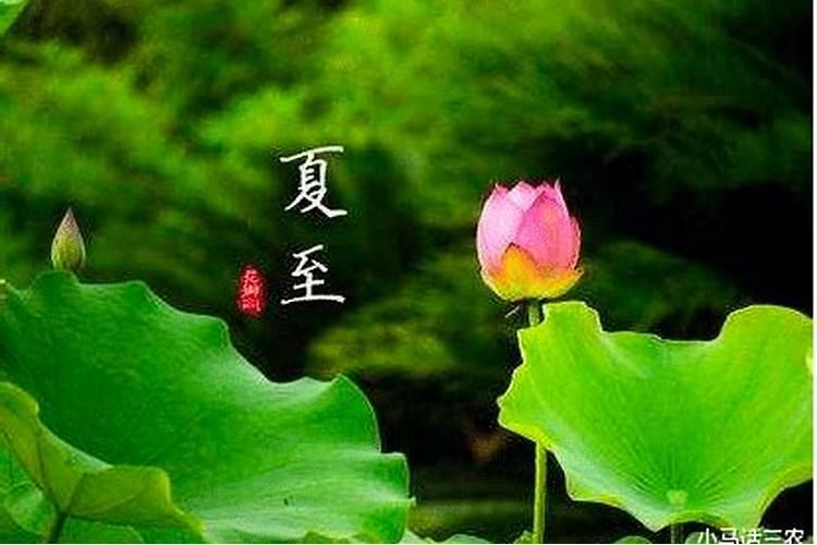 2023年入伏第一天能去上坟扫墓吗 2023年入伏上坟可以烧纸吗