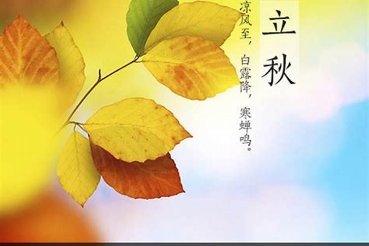 我是78年7月18日下午4点出生的,八字命理何解？