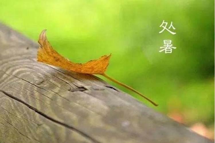 2023立秋和处暑是一个意思吗 立秋和处暑有什么区别
