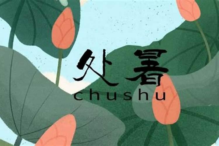 立秋和处暑是什么意思？