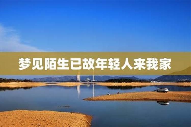 属狗明年的运势怎么样2025