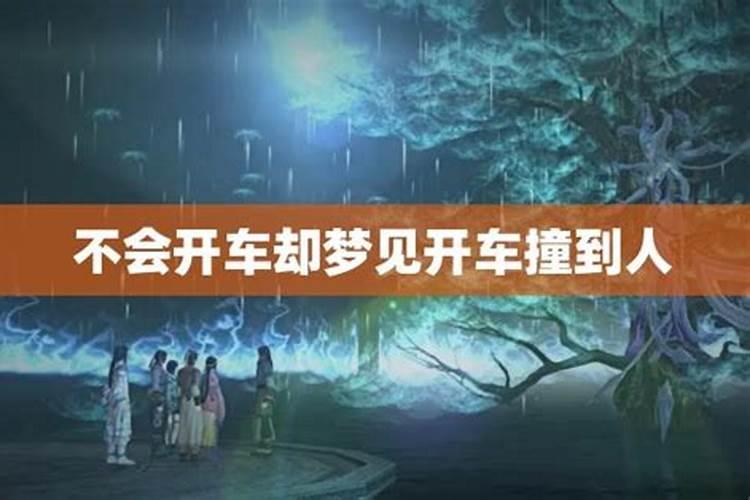 十二生肖养什么植物最旺自己财运
