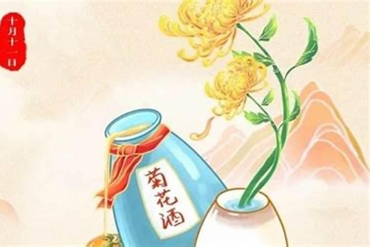 家乡的春节二年级作文