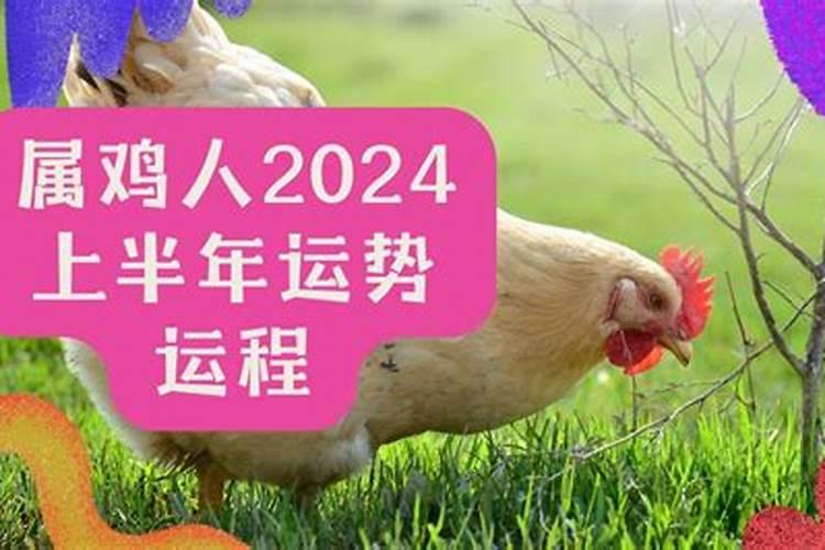 属鸡的人命好吗 属鸡人出生月的命运？