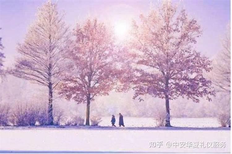 2025年12生肖运势解析