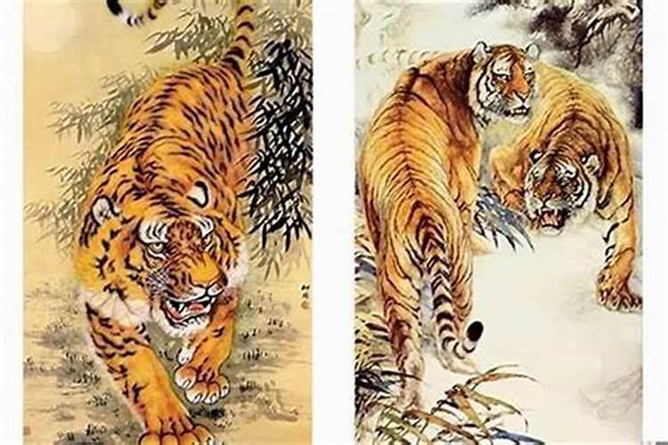 属虎出生时辰详解,属虎的什么时辰出生最好