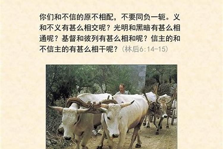 生辰八字能信吗？八字不合能结婚吗？有没有八字不合还很幸福的呢？