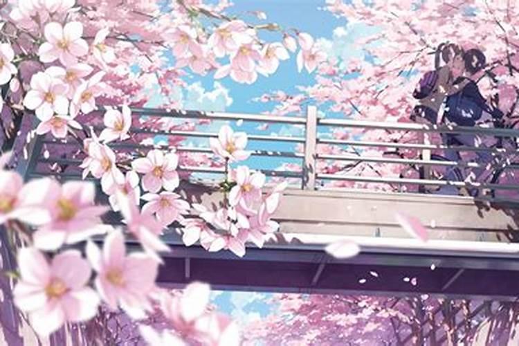 跪求清明樱花祭歌词...要平假名注音!!!