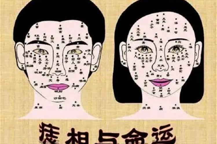 八字环钓鱼时需要用到吗,与双钩子线的绑法是什么