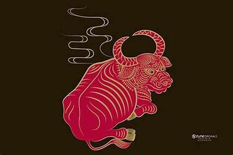 出生的宝宝牛宝宝属相刺客,属牛阴历二月生的命运好不好