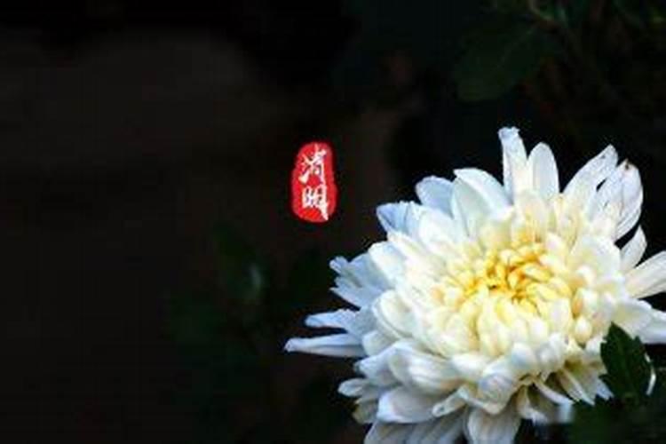 冬至可以回娘家过吗 冬至回娘家有什么样的说法吗