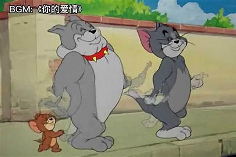 梦见老鼠和猫是什么兆头？