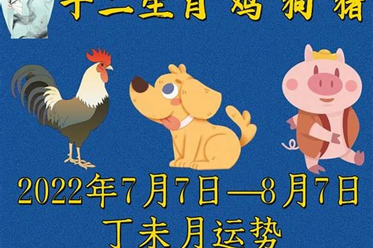 属鸡2024年每月运势及全年运势