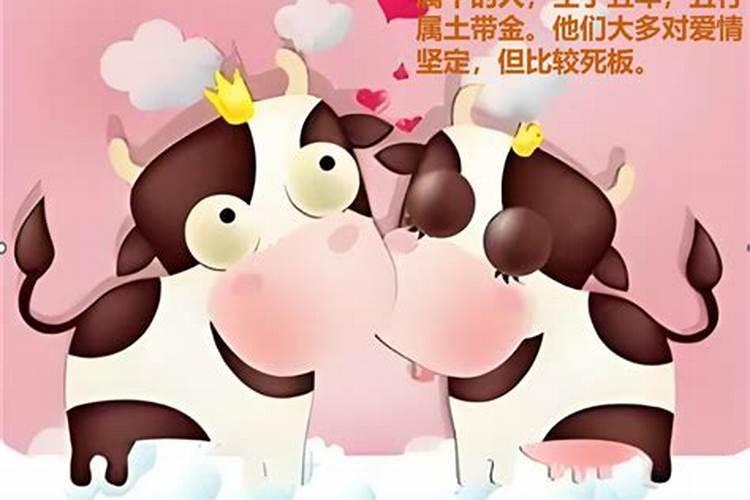 桃花红艳煞怎么化解