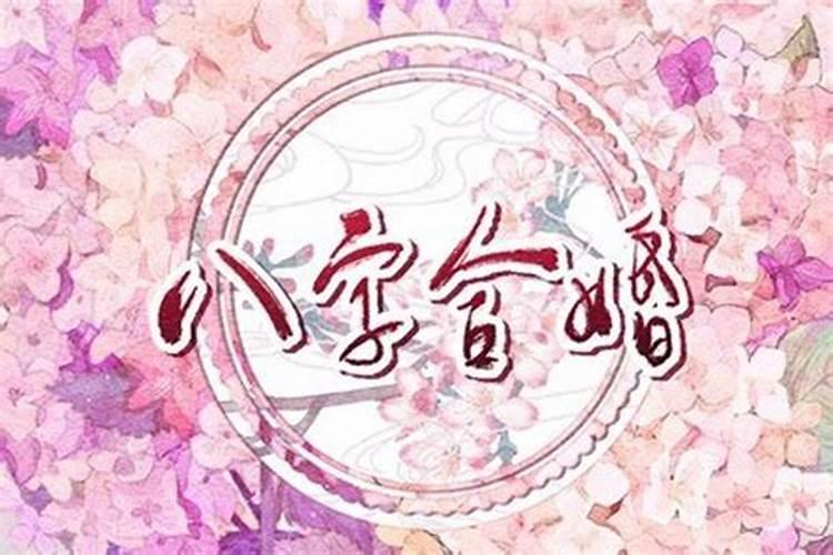 属马鼠年怎么避免