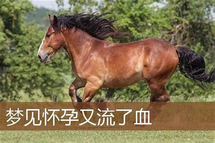 梦见遭同学欺负