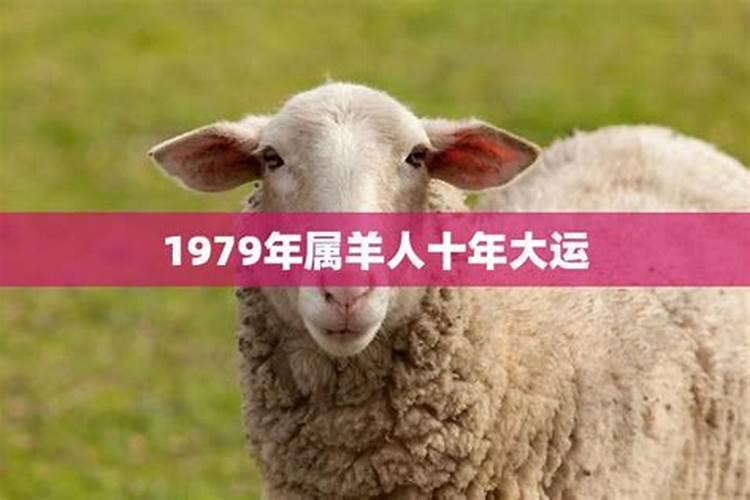 79年属羊人何时行大运,79属羊哪一年会交好运？