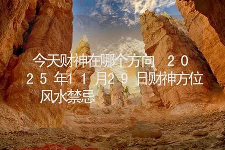 梦见猫狗一窝的预兆