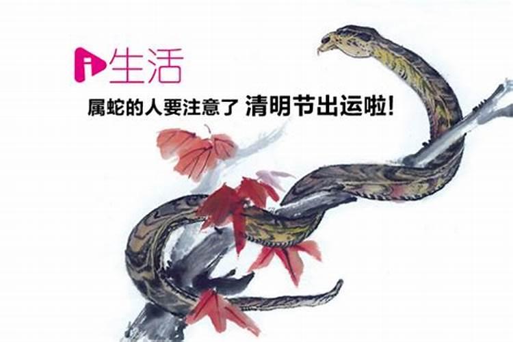 公历年、阳历年、阴历年和农历年的区别？
