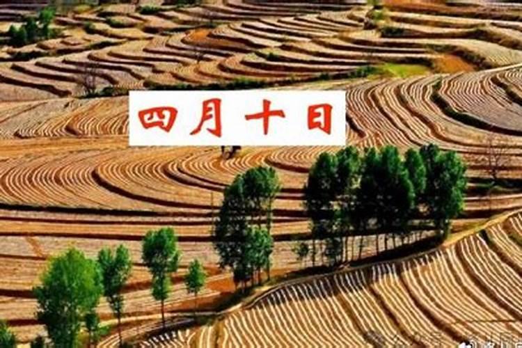 1974年属虎女2024年运势及每月运势如何