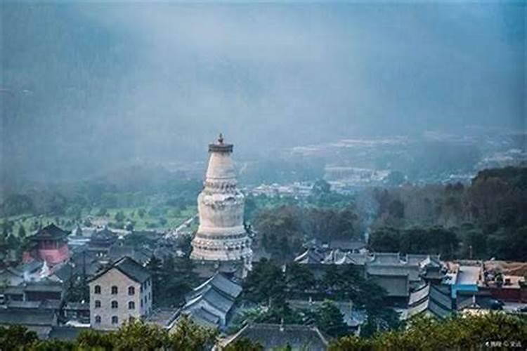 67年属羊人2025年运势
