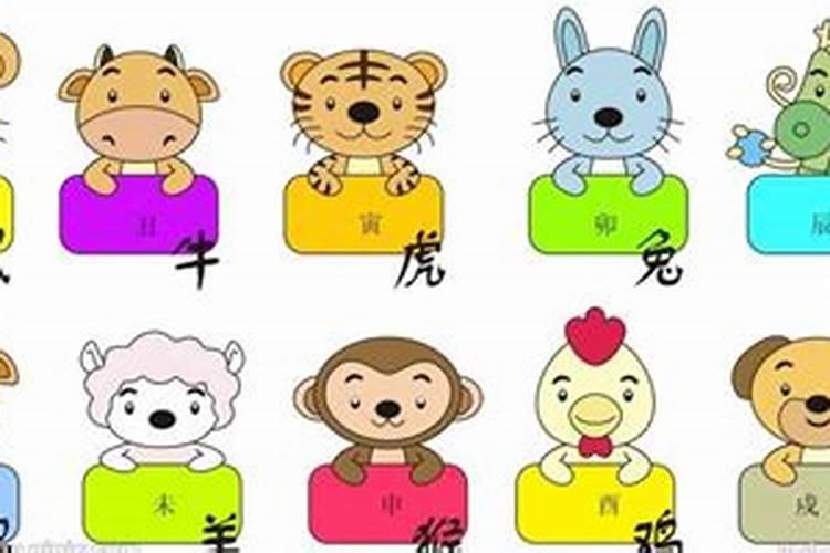 生在夏至的女孩小名合集属牛宝宝专用