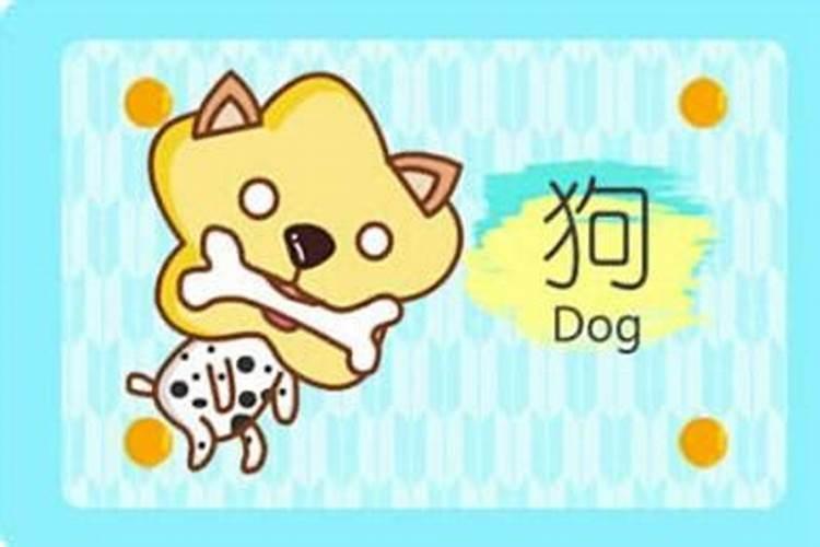 男鼠女狗能过一辈子吗 婚姻会顺利吗？