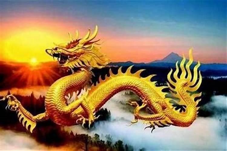 属龙人吃什么最旺财运