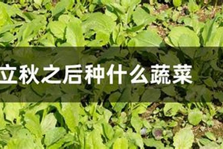双鱼座的幸运日和倒霉日