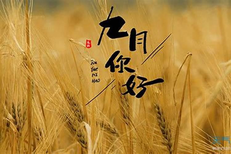阴历1989年9月15日。早上出生的
