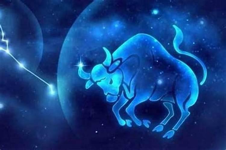 怎么判断金牛座动心了肢体语言细节识别