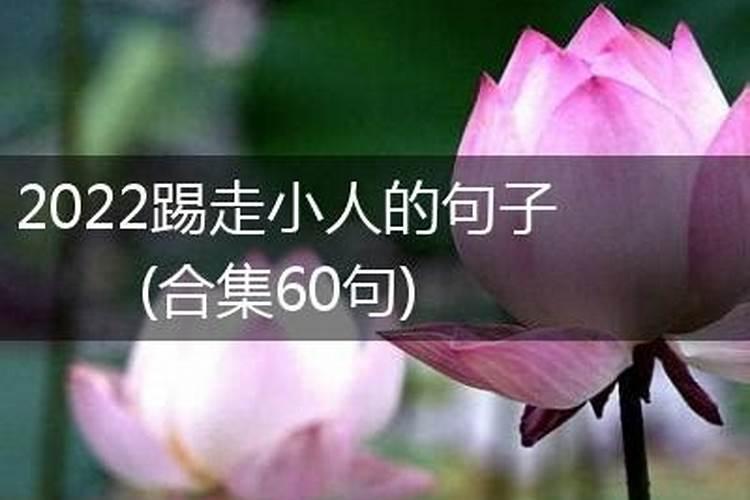 小学作文过年趣事