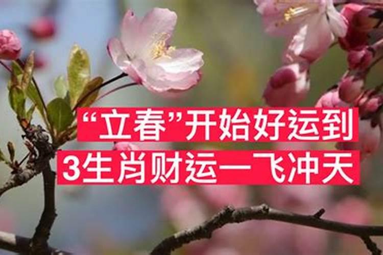 自己补财库最简单方法