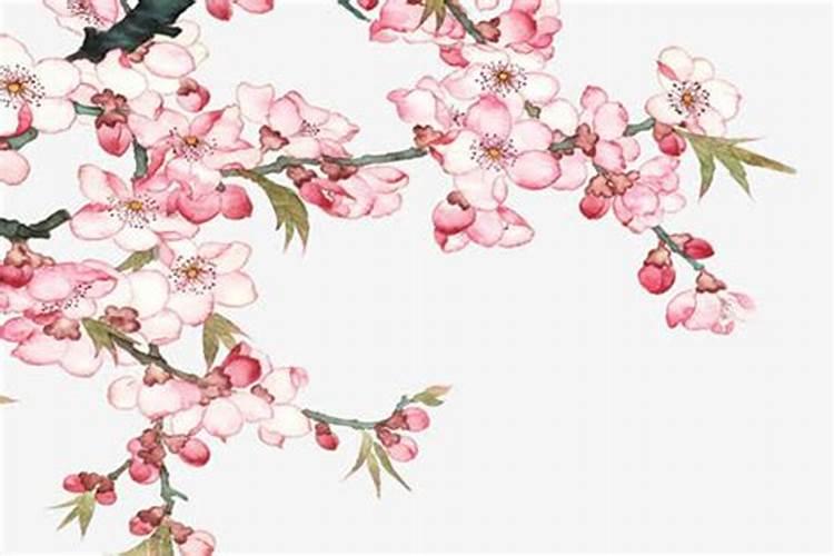 女人桃花劫怎么解决